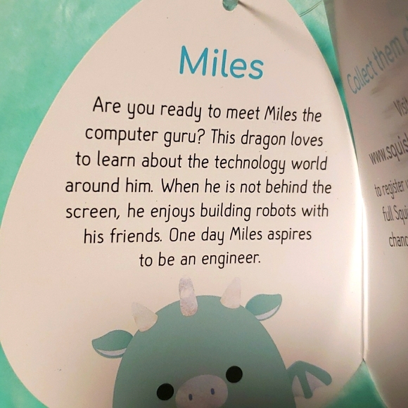 Squishmallows 12' Plush Toy - Picture 5 of 5